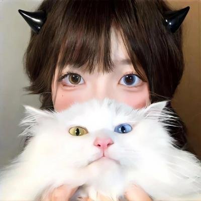 猪就是猪